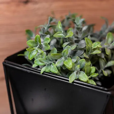 Uniquerent- Luksusowy W Centrum Wroclawia, Tuz Obok Wyspy Slodowej * Wrocław