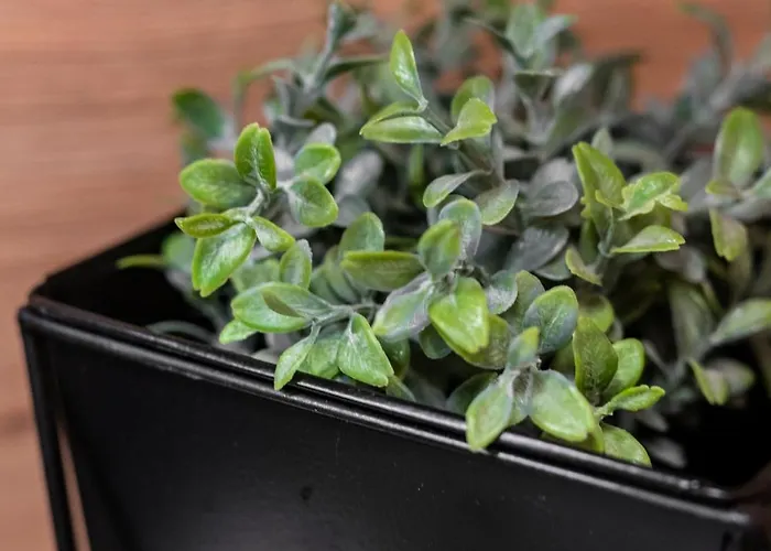 Uniquerent- Luksusowy W Centrum Wroclawia, Tuz Obok Wyspy Slodowej * Wroclaw